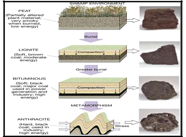 Rocks Types And Formation Processes Geomorphology