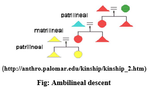 Kinship: Descent and Alliance KinshipTerms – Social Cultural Anthropology