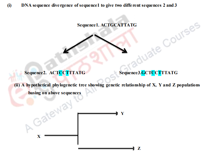 Genetic Distance – Human population genetics