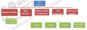 Double Helix of DNA – Structure and function of biomolecules (lipids ...