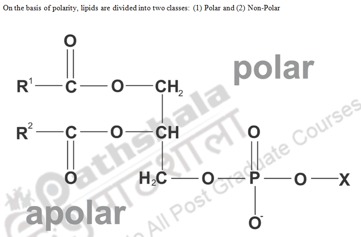 Classification Of Lipids Lipid Metabolism