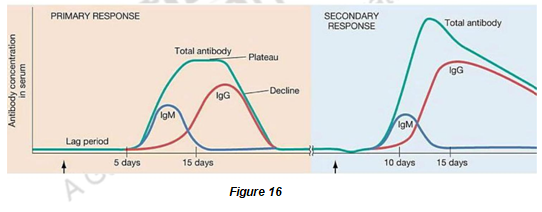 Types of Antigens and Immunization Procedures – Immunology