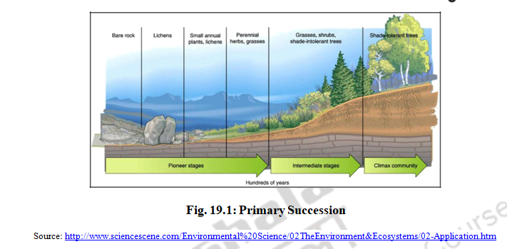 Ecological Succession – Part 1 – Ecosystem structures & functions