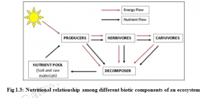 Ecosystems: Concept, Structure and Functions – Part 1 – Ecosystem ...