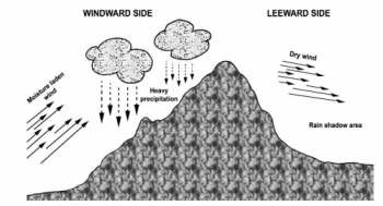 Desert Ecosystem – Ecosystem structures & functions