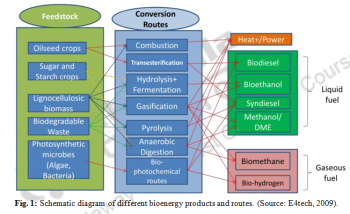 Biomass As An Energy Source – Energy and environment