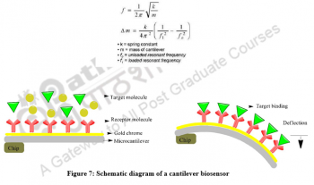 Biosensors: An Introduction – Environmental Microbiology & Biotechnology
