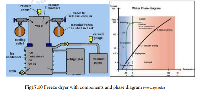 Dryers used in food industry – Unit Operations in Food Processing