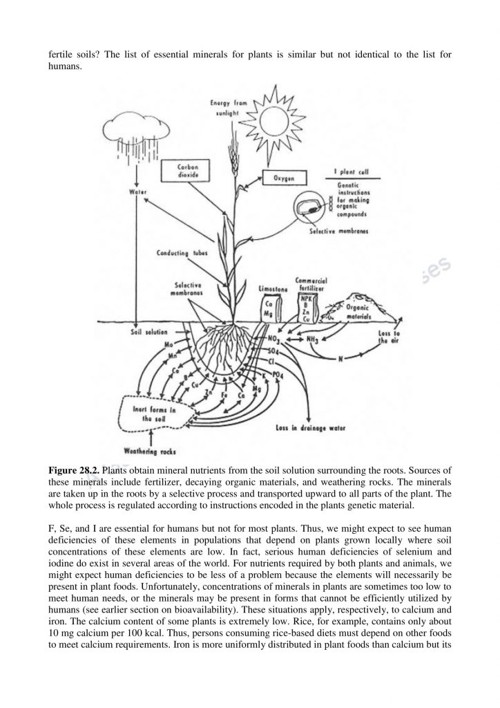 Chemical and functional properties of minerals in food Food Additives