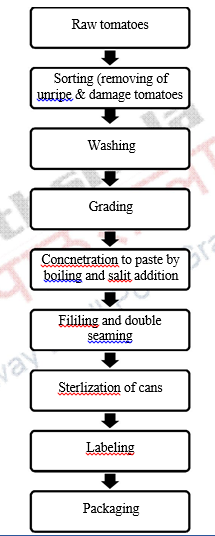 Canning and bottling of different food products – Principles of the ...