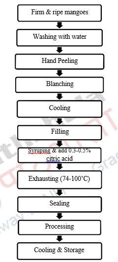 Canning and bottling of different food products – Principles of the ...