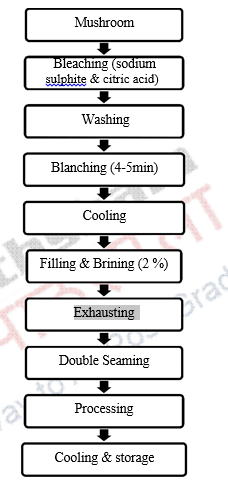 Canning and bottling of different food products – Principles of the ...