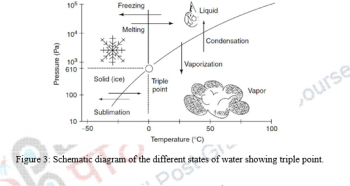 Food Drying& Dehydration – Principles of the Food Processing & Preservation