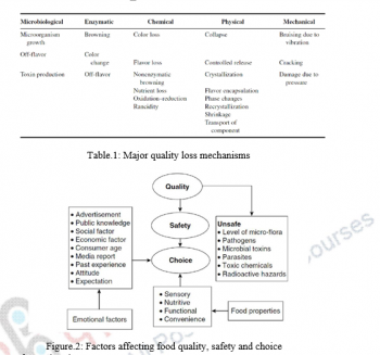 Principles Of Food Processing And Preservation – Principles Of The Food ...