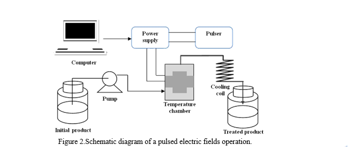 Pulsed Electric Field Technology – Principles of the Food Processing ...