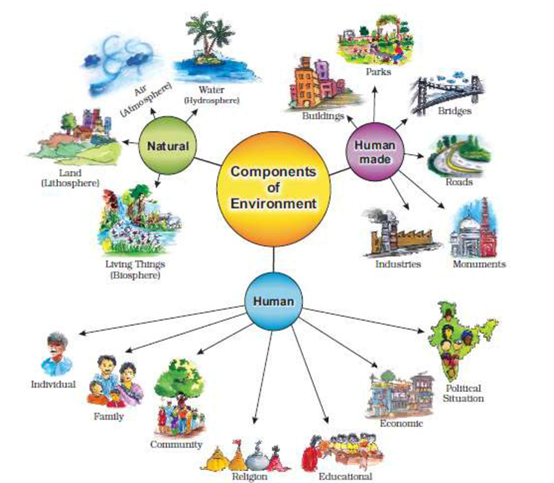 Concepts and Components of Environment – Environmental Geography