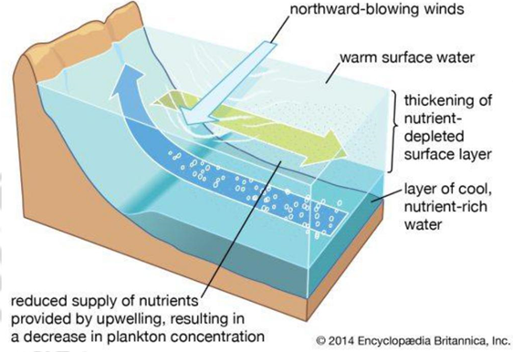 MONSOON: DEFINITION, THEORIES AND CONTROLLING FACTORS – Climatology