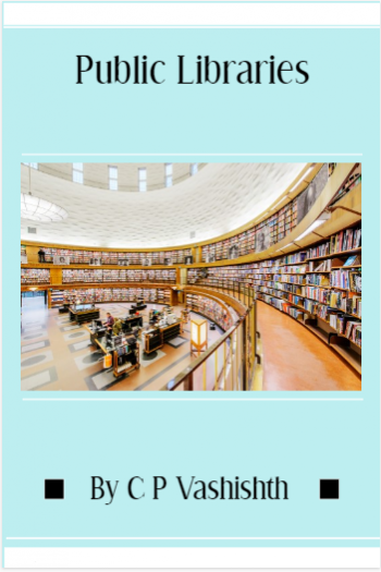 Cover image for Public Libraries