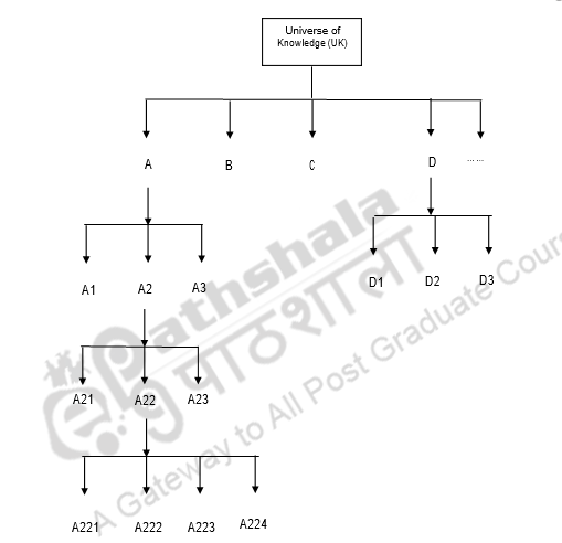 Work in the idea plan: formation of arrays and chains – Knowledge ...