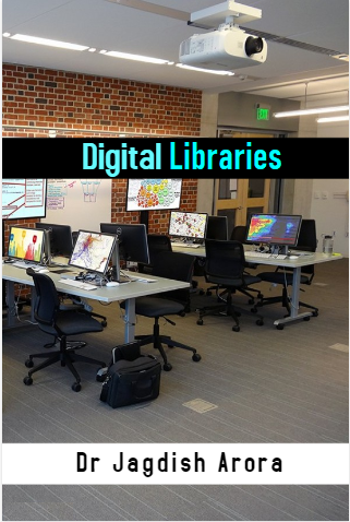 Cover image for Digital Libraries