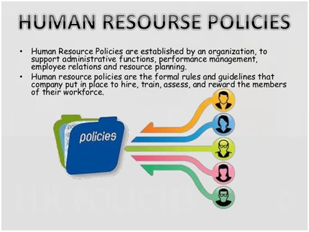 Human Resource Policy – Human Resource Management