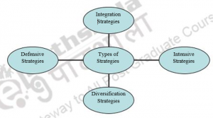 Intensive Strategies – Strategic Management